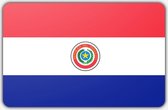 Vlag Paraguay - 70 x 100 cm - Polyester