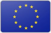 Vlag Europese unie - 70x100cm - Polyester