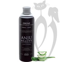Anju Beauté, Ebene Shampoo 500 mL