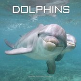 Dolphins - Delfine - Delphine 2022 - 18-Monatskalender