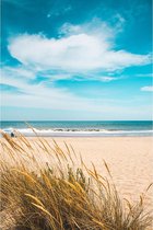 Aluminium Schilderij Dunes and Beach