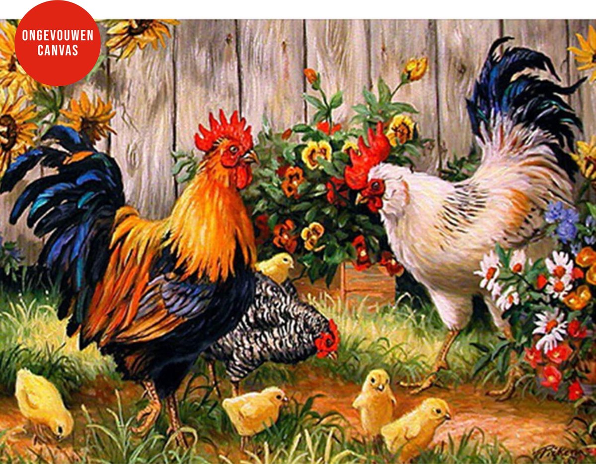 Schilderen op nummer Volwassenen - Kippen - Dieren - Kleuren op Nummer - 40x50 cm