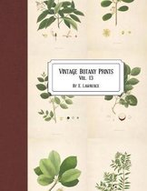 Vintage Botany Prints