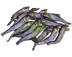 Sprotten gedroogd Katten-Hondensnack 2x 100 gram