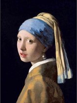 Diamond painting - Meisje met de parel van Johannes Vermeer - Oude meesters - Geproduceerd in Nederland - 40 x 60 cm - canvas materiaal - vierkante steentjes - Binnen 2-3 werkdagen in huis