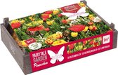 Flower Crate Pinocchio