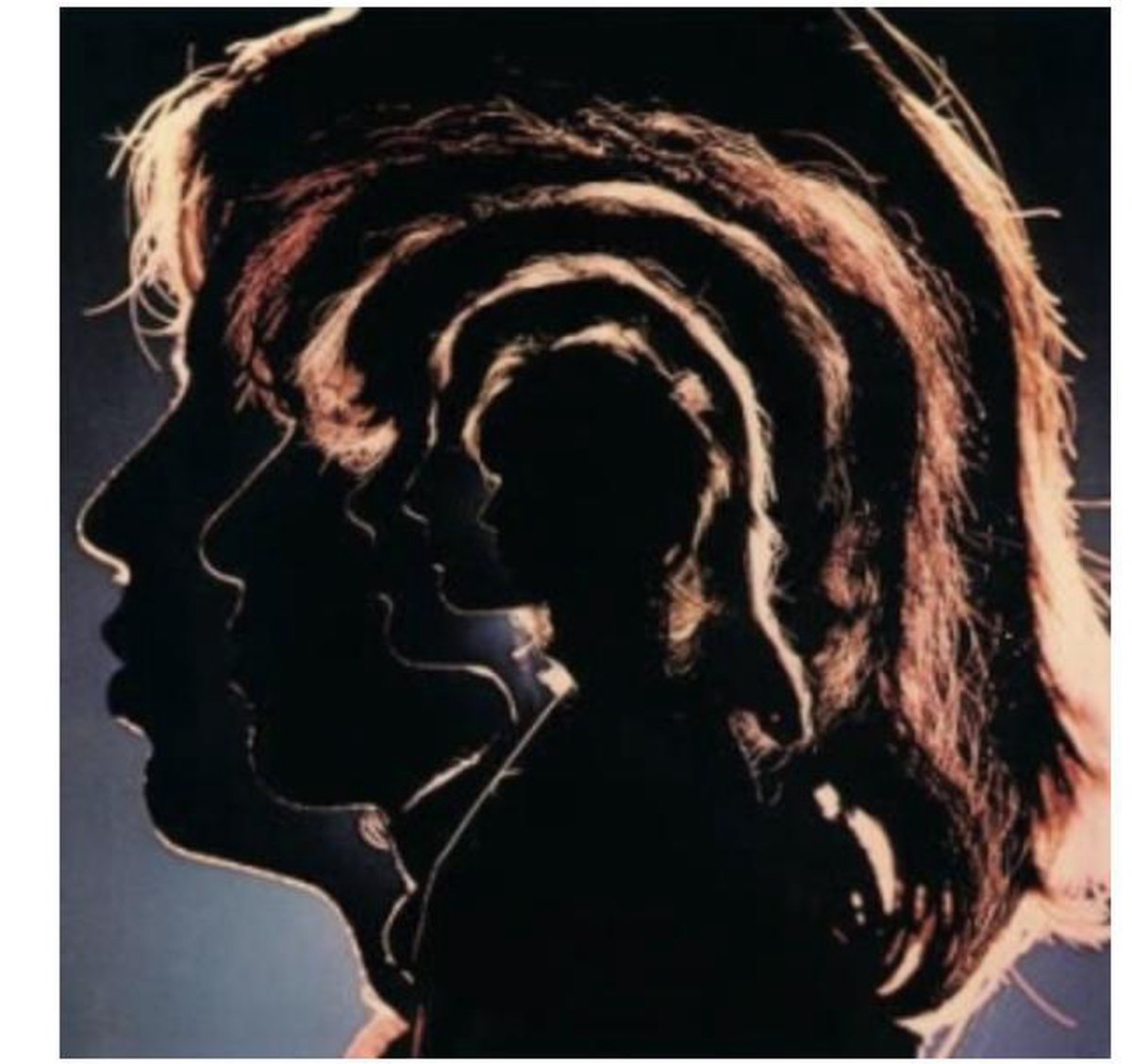 Rolling Stones - Hot Rocks (LP)