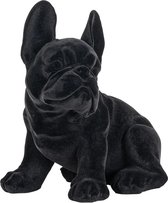 Decoratie miro hond zwart fluweel (r-000SP39764)