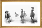 JUNIQE - Poster met houten lijst Galloping Through the Surf -40x60