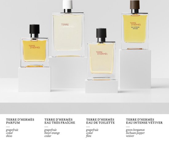 Hermès Terre d'Hermès - 200 ml - eau de toilette spray - herenparfum