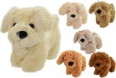 Pluche knuffelhond 23 cm beige