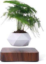 Magische Zwevende Planten Pot - Woondecoratie - Minimalistisch/Modern - Decoratie Woonkamer/Slaapkamer/Keuken