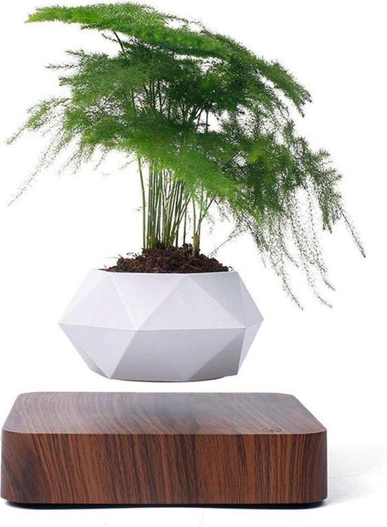 Magische Zwevende Planten Pot - Woondecoratie - Minimalistisch/Modern -  Decoratie... | bol.com