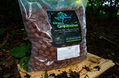 Mexican Spice + Wafters | Carpmission | 1kg & 20mm | Ras el Hanoet | zeer dressuurdoorbrekend |