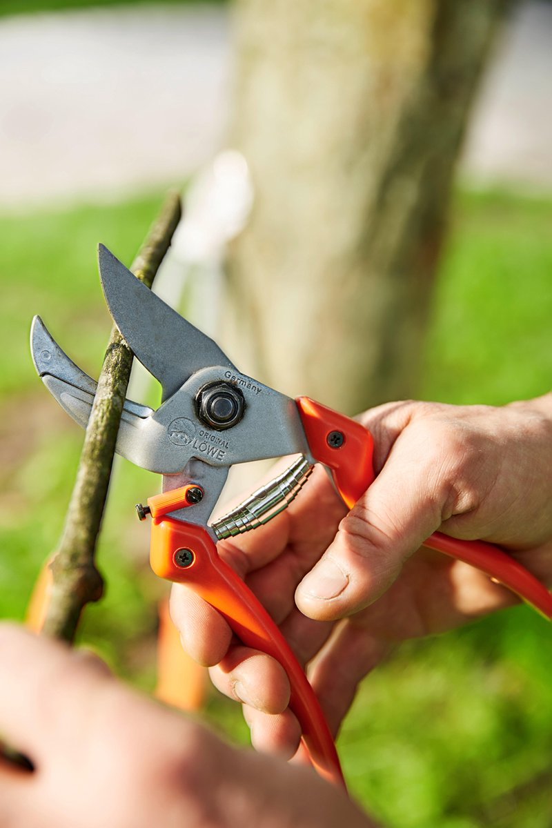 Original LÖWE 22 professionele aambeeld takkenschaar 22.080 anti-aanbaklaag stalen lemmet met precisie geslepen - scherpe en lichte snoeischaar ideaal voor het snijden van takken takken bomen