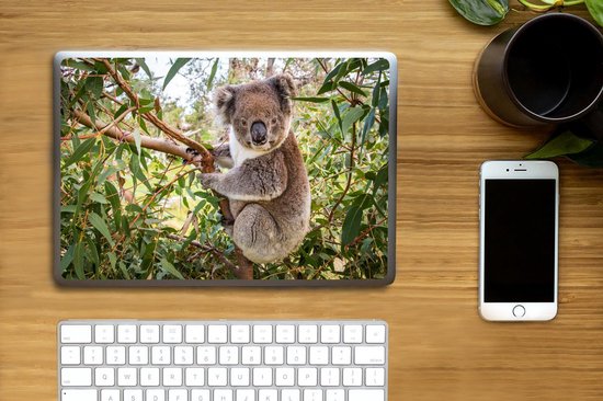 Laptop sticker - 10.1 inch - Koala - Bladeren - Takken - Kinderen - Jongens - Meiden - 25x18cm - Laptopstickers - Laptop skin - Cover