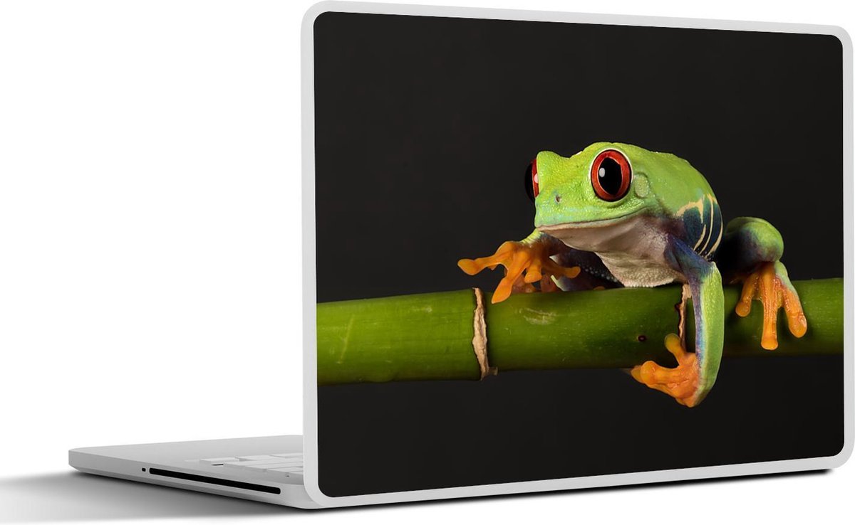 Afbeelding van product SleevesAndCases  Laptop sticker - 12.3 inch - Kikker - Bamboe - Zwart