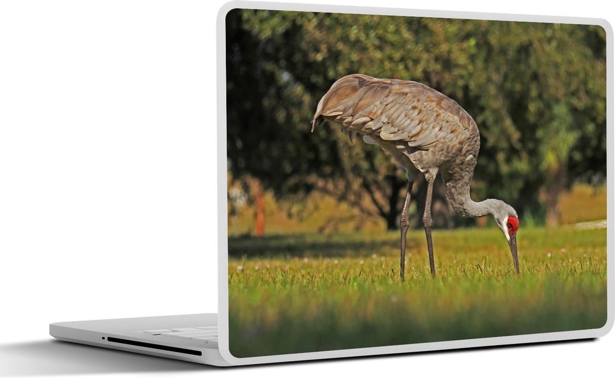 Afbeelding van product SleevesAndCases  Laptop sticker - 13.3 inch - Saruskraan opzoek naar voedsel