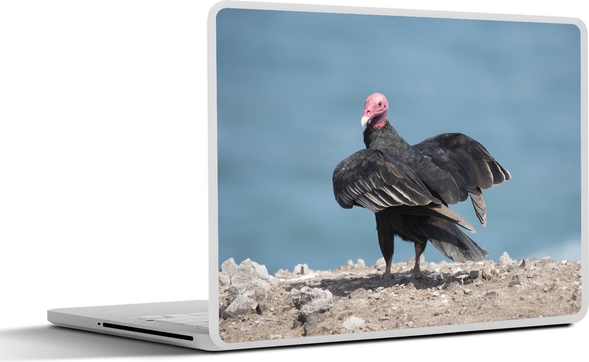 Afbeelding van product SleevesAndCases  Laptop sticker - 13.3 inch - Een Roodkopgier op de stenen bij het blauwe water