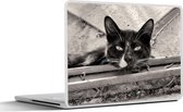 Laptop sticker - 10.1 inch - Close-up van een kat - 25x18cm - Laptopstickers - Laptop skin - Cover