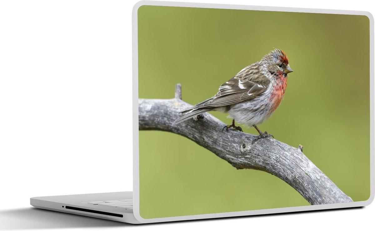 Afbeelding van product SleevesAndCases  Laptop sticker - 12.3 inch - Kleurrijke witstuitbarmsijs op een tak