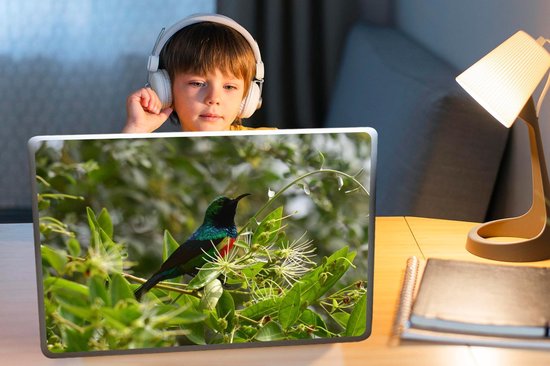 Autocollant pour ordinateur portable - 17,3 pouces - Vogel parmi les feuilles dans la jungle - 40x30cm - Autocollants pour ordinateur portable - Peau pour ordinateur portable - Couverture