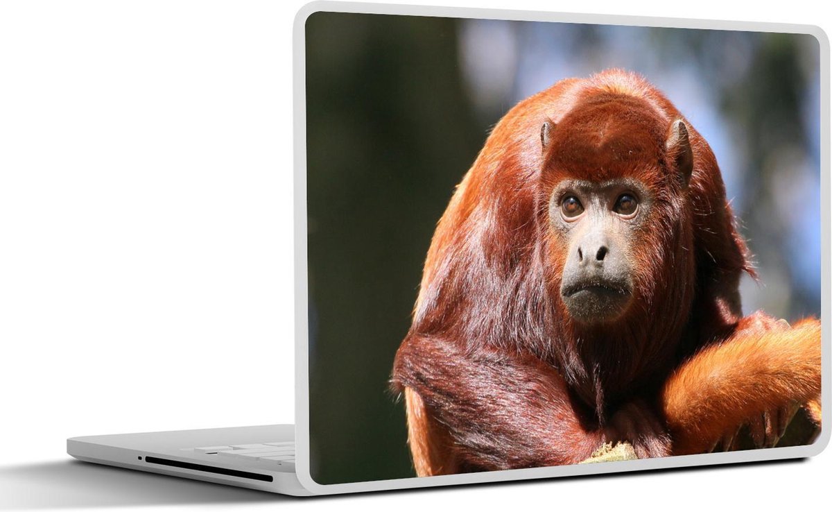 Afbeelding van product SleevesAndCases  Laptop sticker - 15.6 inch - Close-up rode brulaap