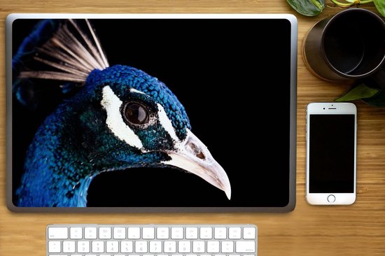 Sticker ordinateur portable - 17,3 pouces - Paon - Animal - Blauw