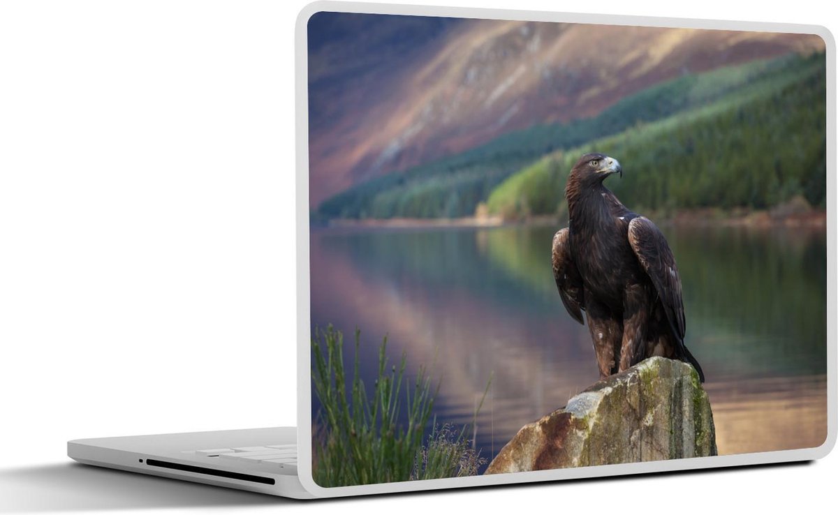 Laptop sticker - 15.6 inch - Vogel - Steenarend - Schotland - 36x27,5cm - Laptopstickers - Laptop skin - Cover