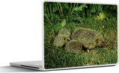 Laptop sticker - 15.6 inch - Egel met drie baby egels - 36x27,5cm - Laptopstickers - Laptop skin - Cover
