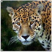 Graphic Message - Tuin Poster - Luipaard - Outdoor Doek - Panter Jaguar - Buiten - 100x100