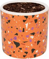 WLPlants Luxe Bloempot Terrazzo Ø7 - Cilinder deco Oranje - Hoogte 7 cm - Keramische sierpot met hoogwaardige afwerking - Geschikt als plantenpot - Binnen en buiten te gebruiken