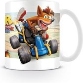 Crash Benicoot Crash Team Racing Fight For First Place mok
