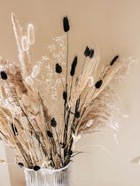 Droogboeket | Neutrals by night | Zwart | Beige