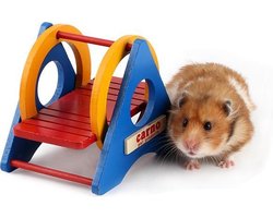 Knaagdieren Schommel Kleurrijk Hamster Gerbil Muis Dierenspeelgoed Beweging