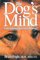 Paperback