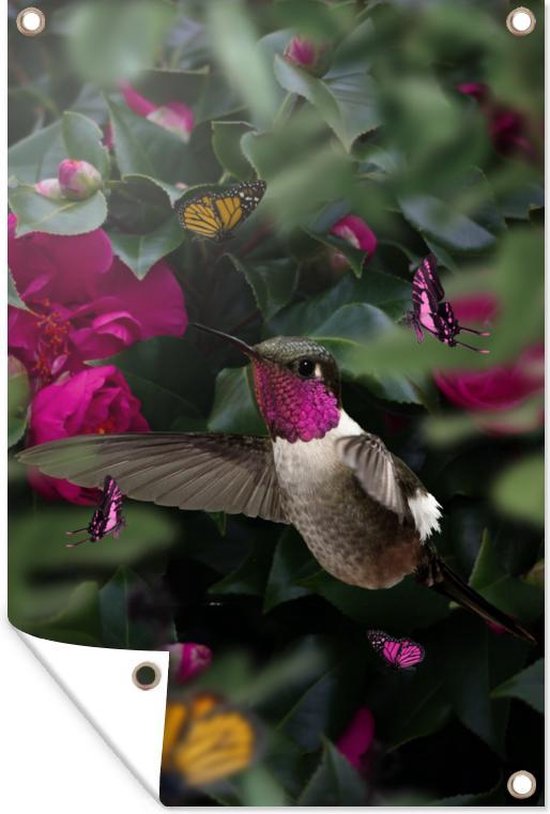 Tuindecoratie Kolibrie - Vogel - Roze - 40x60 cm - Tuinposter - Tuindoek - Buitenposter