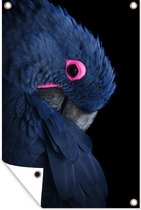Tuinposters buiten Papegaai - Vogel - Blauw - 60x90 cm - Tuindoek - Buitenposter