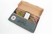 Droogbloemenvoordeel DIY box roze