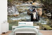 Behang - Fotobehang Stier draagt bagage in Bhutan - Breedte 450 cm x hoogte 300 cm