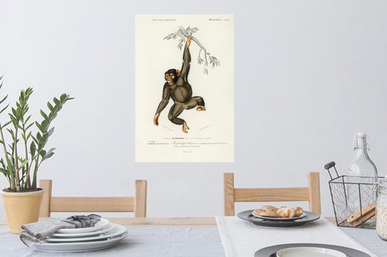 Stickers muraux - Singe - Vintage - Branche - 40x60 cm - Film Adhésif
