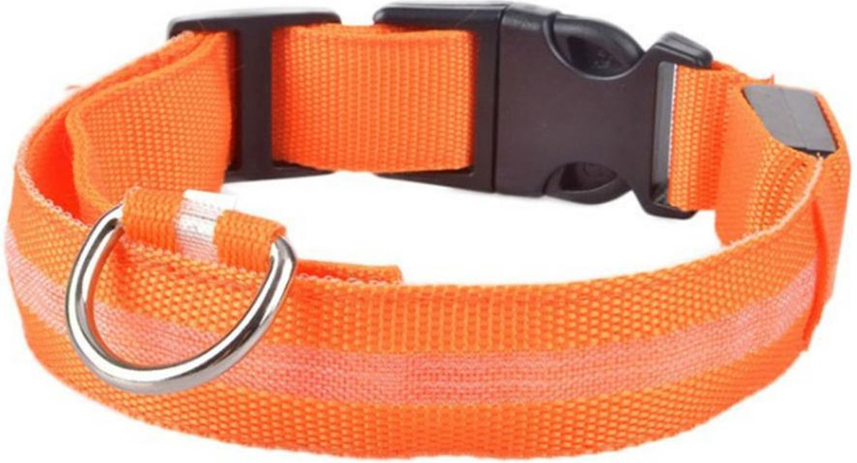 Smartphonica LED lichtband - Lichtgevend - Hondenhalsband - Inclusief Batterijen - Oranje - M