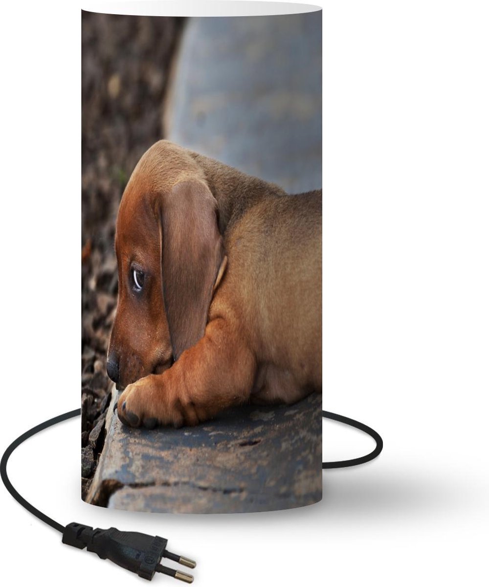 Lamp - Nachtlampje - Tafellamp slaapkamer - Teckel puppy ligt op de rand van de stoep - 33 cm hoog - Ø15.9 cm - Inclusief LED lamp