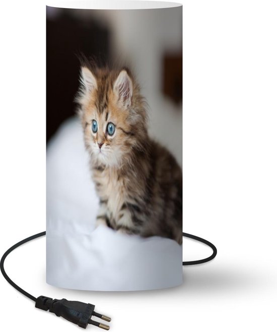 Lamp - Nachtlampje - Tafellamp slaapkamer - Schattige Perzische kitten - 54  cm hoog -... | bol.com