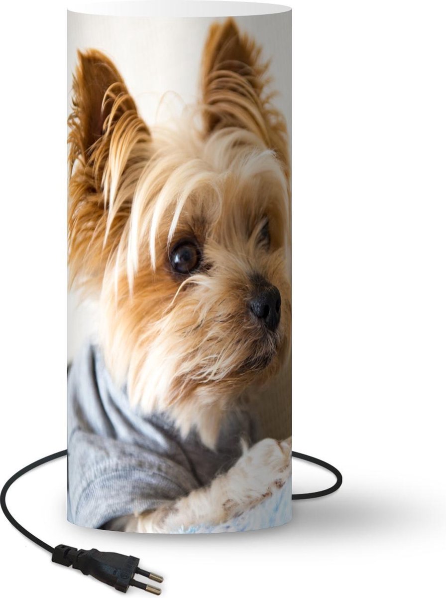 Lamp - Nachtlampje - Tafellamp slaapkamer - Yorkshire Terrier met een truitje aan - 33 cm hoog - Ø14.3 cm - Inclusief LED lamp