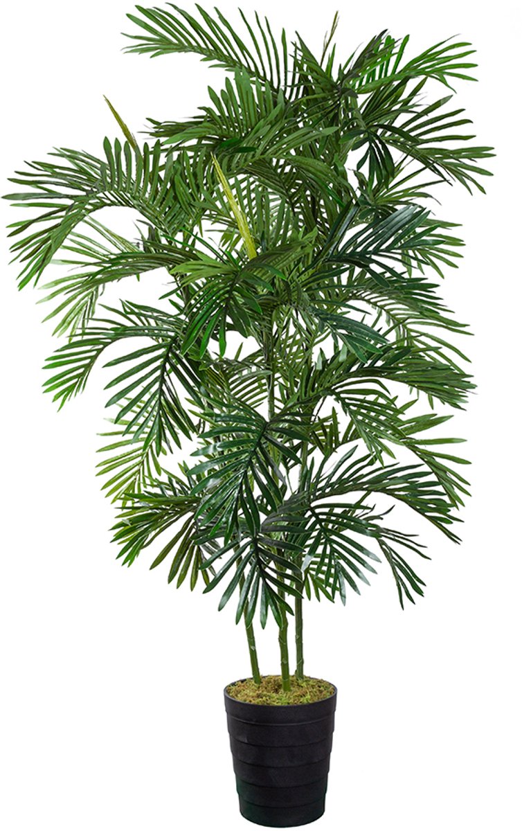 HTT Decorations Kunstplant Areca palm H165 cm - HTT Decorations kunstplanten Groen