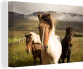 Canvas Schilderij Paarden - Dieren - Gras - 60x40 cm - Wanddecoratie