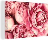 Peintures sur Toile Roses - Bloem - Rose - 90x60 cm - Décoration murale