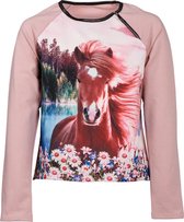 Meisjes trui paard roze | Maat 116/6Y