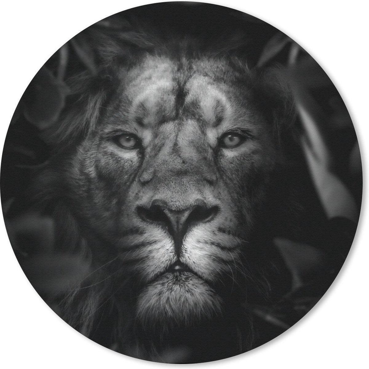 Muismat rond 40x40 cm - Mousepad Dieren - Leeuw - Jungle - Zwart - Wit - Ronde muismatten